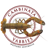 yabbie_logo.gif